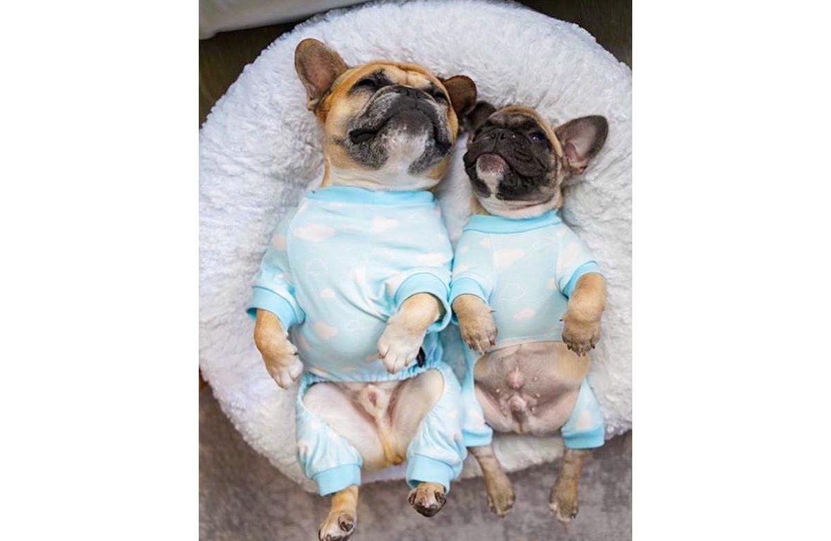 Parisian Pet Blue Cloud Pajama