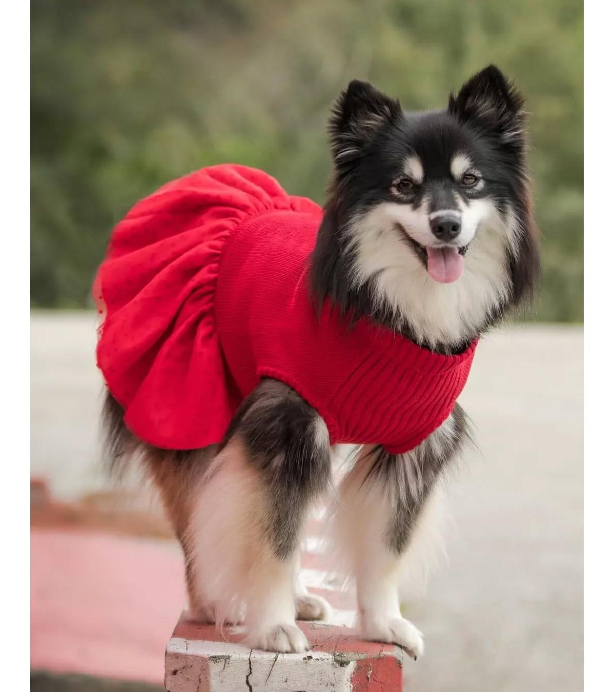 Blueberry Pet Pom-Pom Heart Dog Sweater