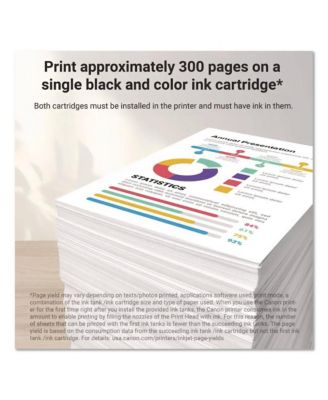 8278B023 (PG-245XL/CL-246XL) High-Yield Ink - Black/Color