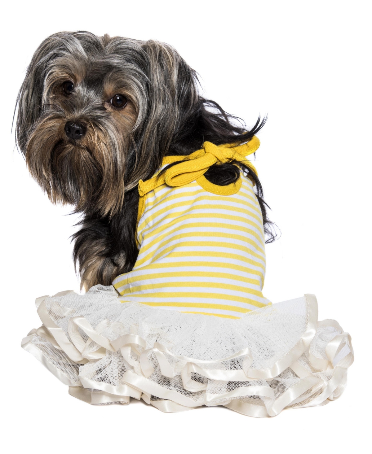 Parisian Pet Ballerina Dress