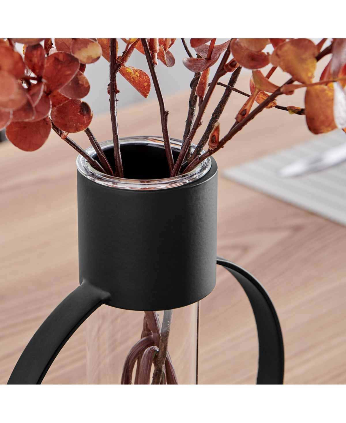 Danya B Jacob Modern Black Metal Open Circle Pedestal Clear Glass Tabletop Vase