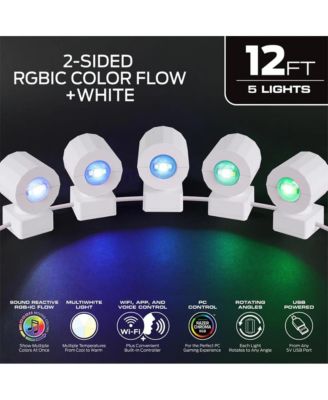  12 Ft Two-Sided Multi-Position Indoor Sconce Smart Lights