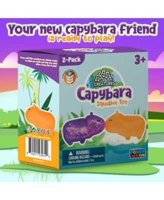Capybara Squishy Toy 2 Pack