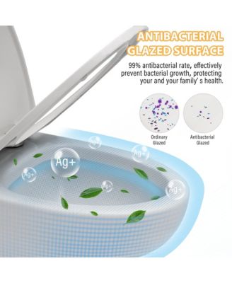 One-Piece Dual Flush 1.1/1.6 GPF Elongated Bathroom Fixture Comfort Seat Height,Soft-Close Seat,Glazed Surface