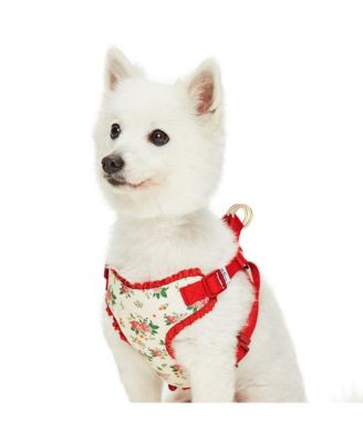 Spring Floral Dog Harness with Chest Protection Panel