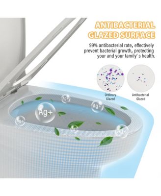 Dual Flush 1.1/1.6 GPF Elongated Bathroom Fixture Comfort Seat Height, Soft-Close Seat,Glazed Surface