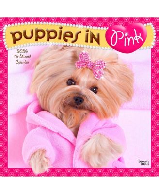 Puppies in Pink | 2026 12 x 24 Inch (Hanging) Monthly Square Wall Calendar | Plastic-Free