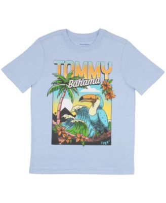 Little Boys Classic Woven Button Down Shirt, Tees and Shorts Outfit Set