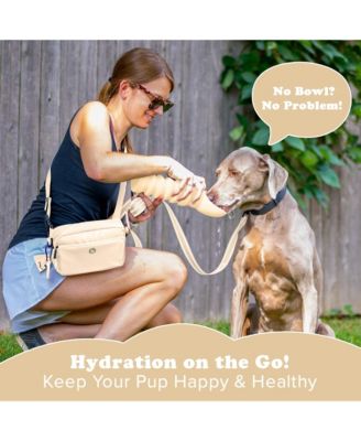 Collapsible Dog Water Bottle