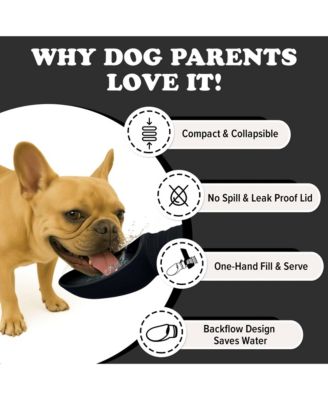 Collapsible Dog Water Bottle