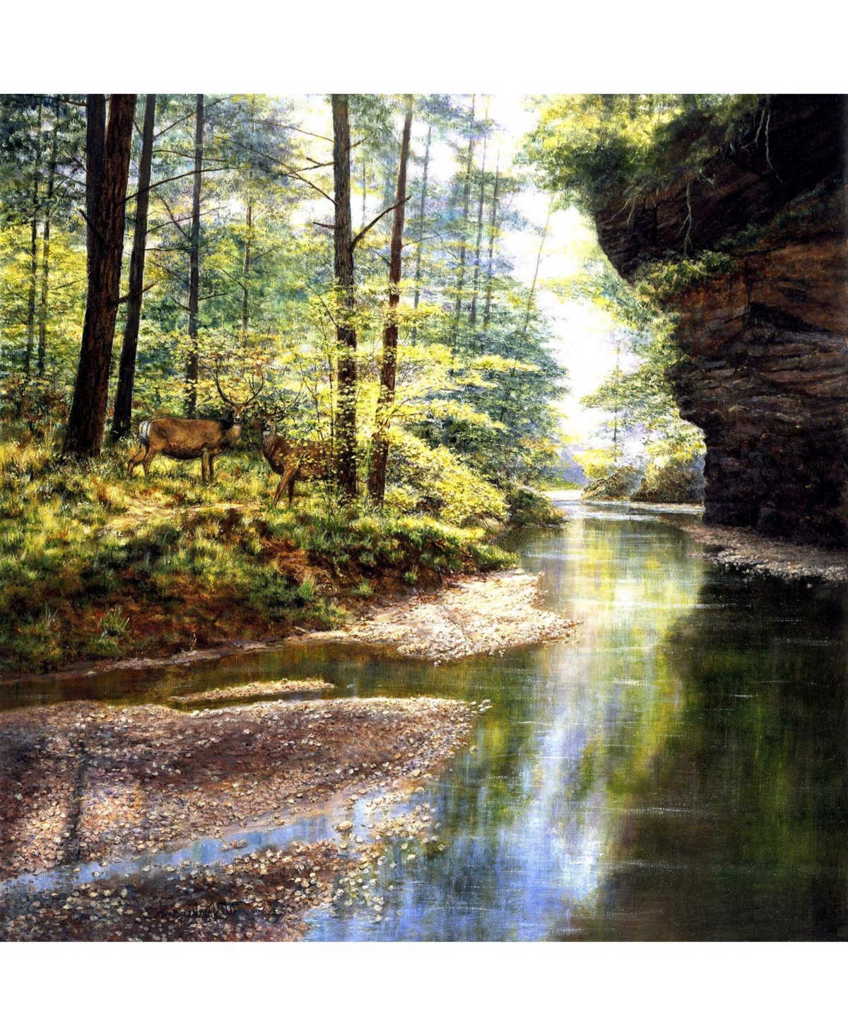 Quiet Forest 1000 piece Jigsaw Puzzle for Adults