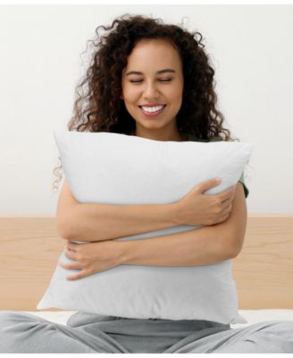 Feather Decorative Pillow, 20" x 20"