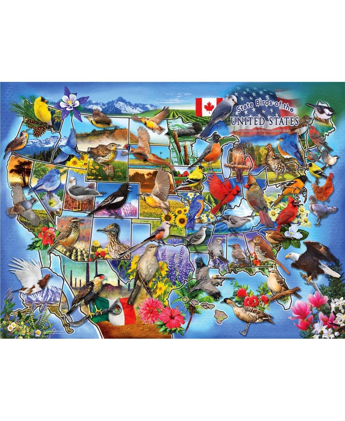 SunsOut State Birds of the U.s. 1000 piece Jigsaw Puzzle for Adults