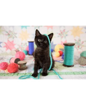 Yes, I'm Cute 300 piece Jigsaw Puzzle for Adults