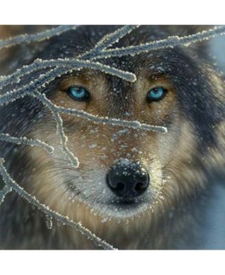 Fire Within Ice 500 piece Jigsaw Puzzle for Adults