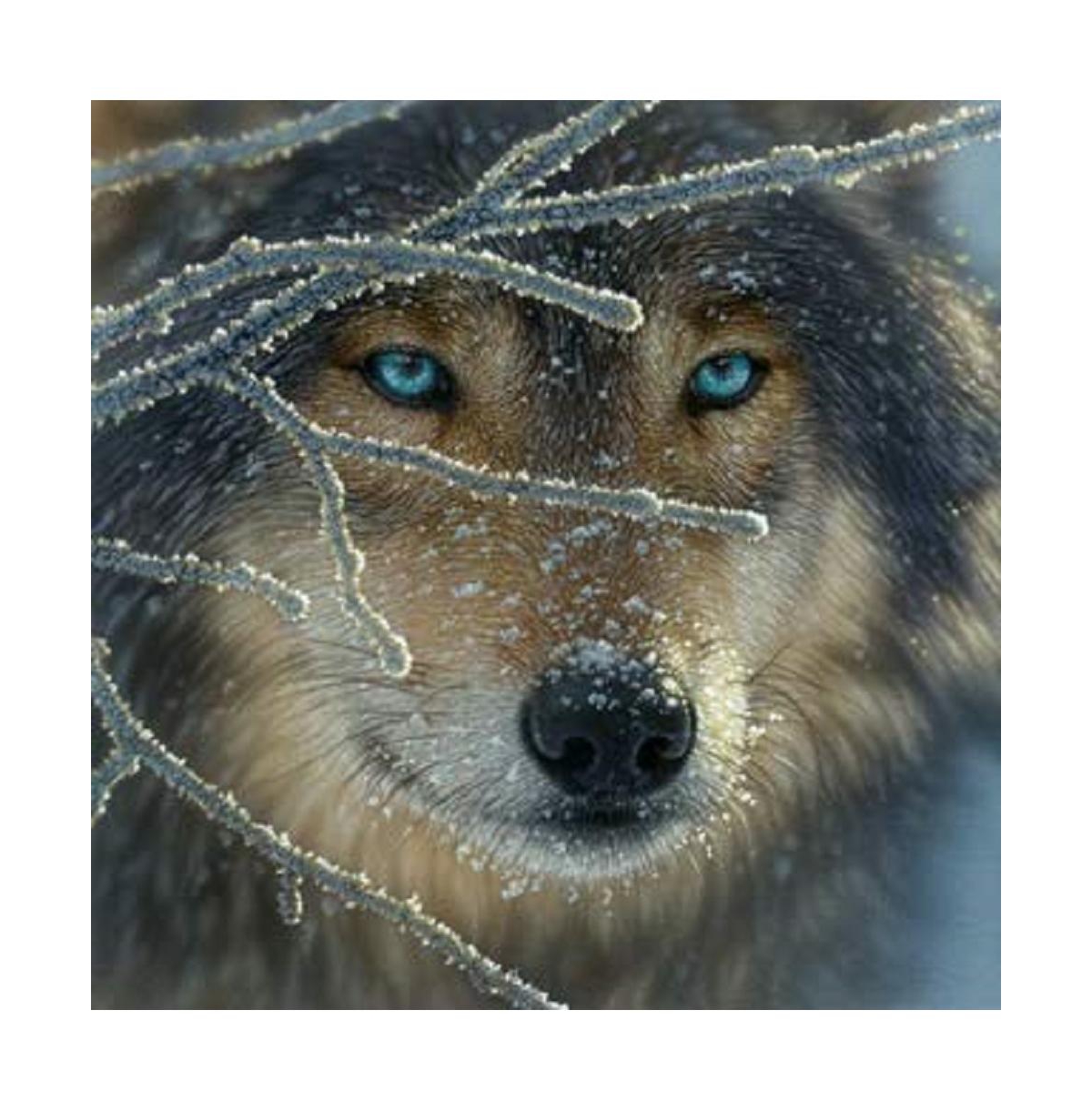 SunsOut Fire Within Ice 500 piece Jigsaw Puzzle for Adults