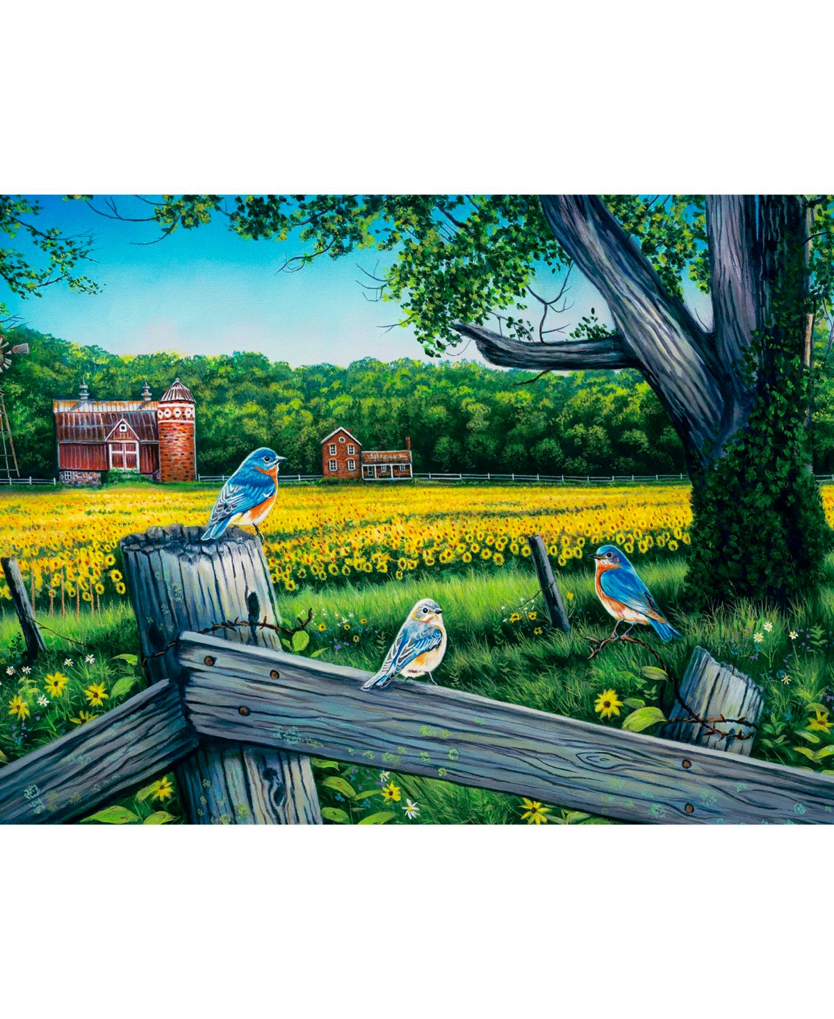 SunsOut Sunflower Valley Blues 500 piece Jigsaw Puzzle for Adults