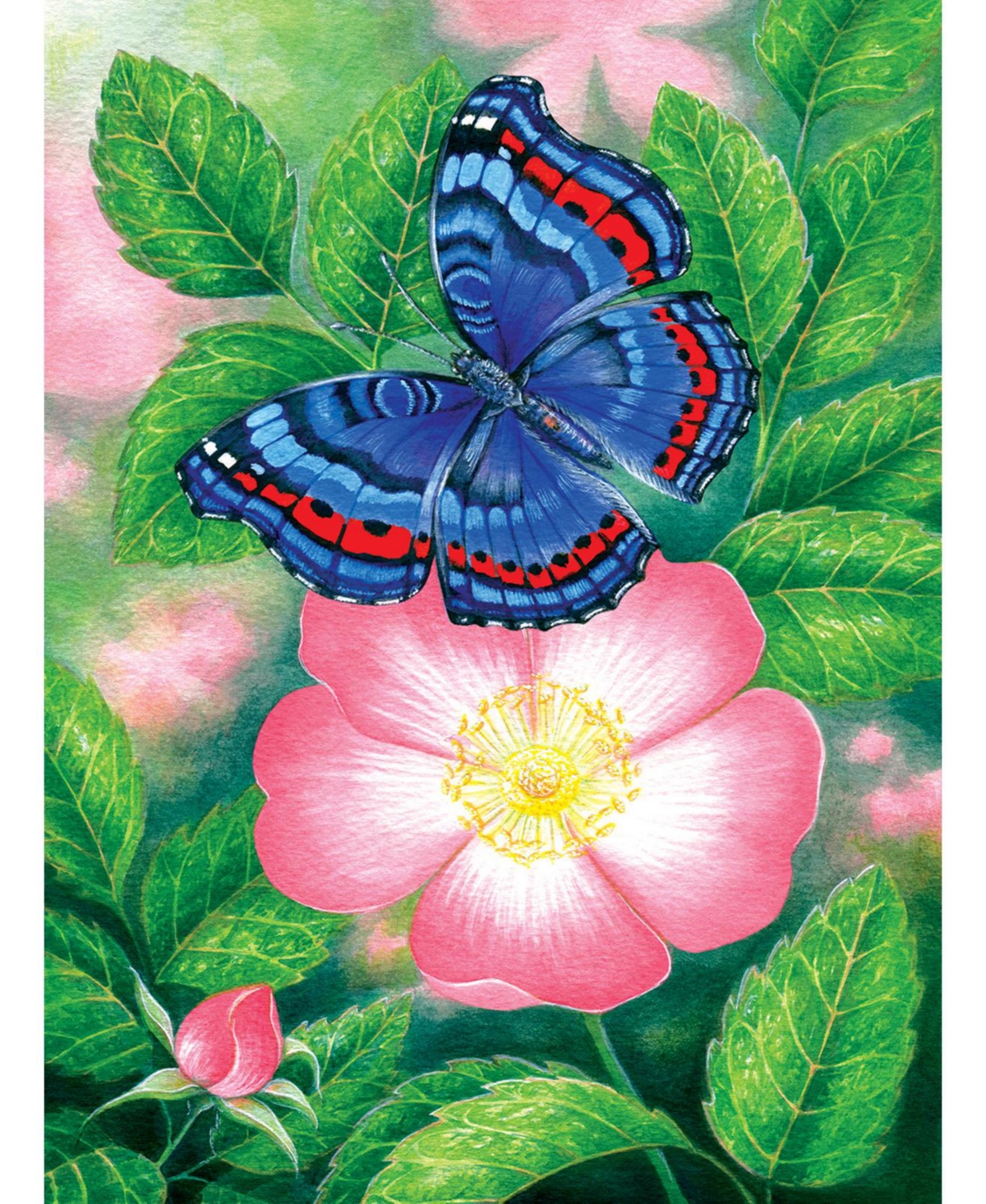 SunsOut Blue Butterfly 1000 piece Jigsaw Puzzle for Adults