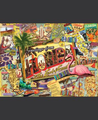 Florida 1000 piece Jigsaw Puzzle for Adults