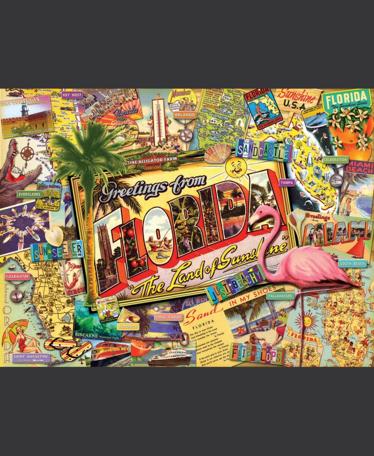SunsOut Florida 1000 piece Jigsaw Puzzle for Adults