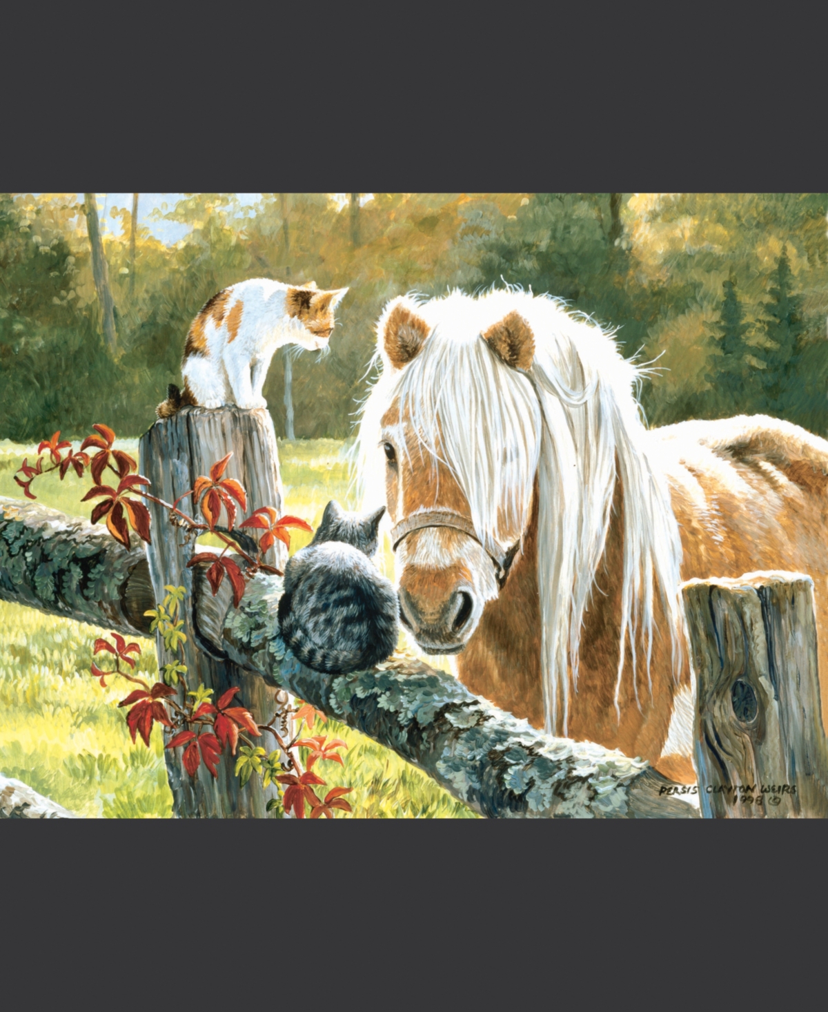 SunsOut Just Visiting 300 piece Jigsaw Puzzle for Adults