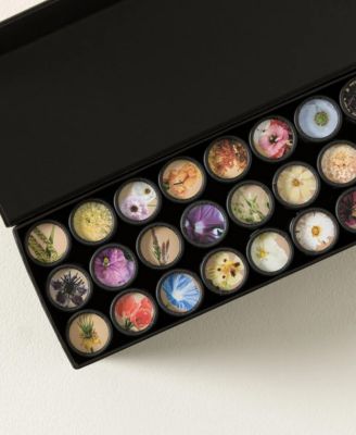 Uncommon Goods Flower Garden in a Box Seed Grow Kit, Set of 18 or 36