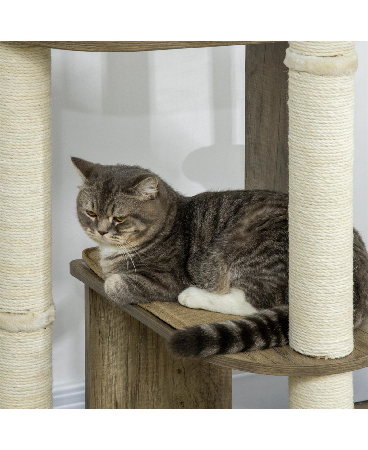Aostirmotor 65" Corner Modern Cat Tree with Scratching Posts