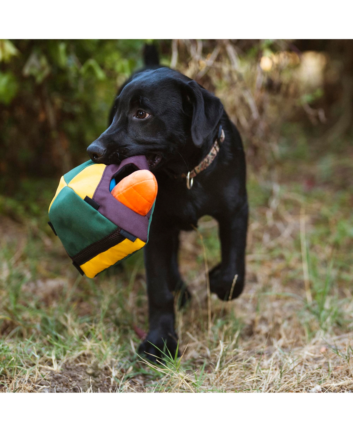 Camp Corbin Collection: Trailblazing Tent