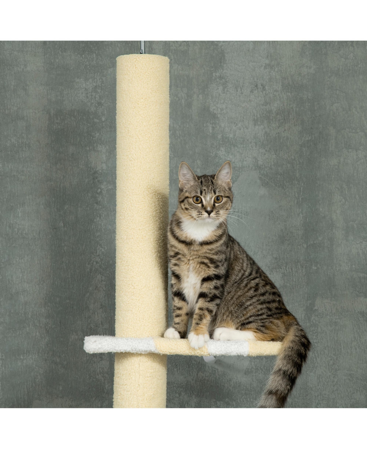 Aostirmotor 4-Tier Tall Cat Tower with Plush Platforms, Sisal Scratching Posts