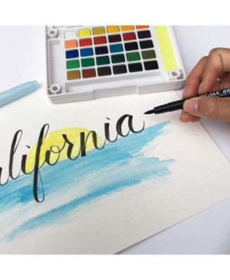 Pigma Professional Archival Ink Brush Pens