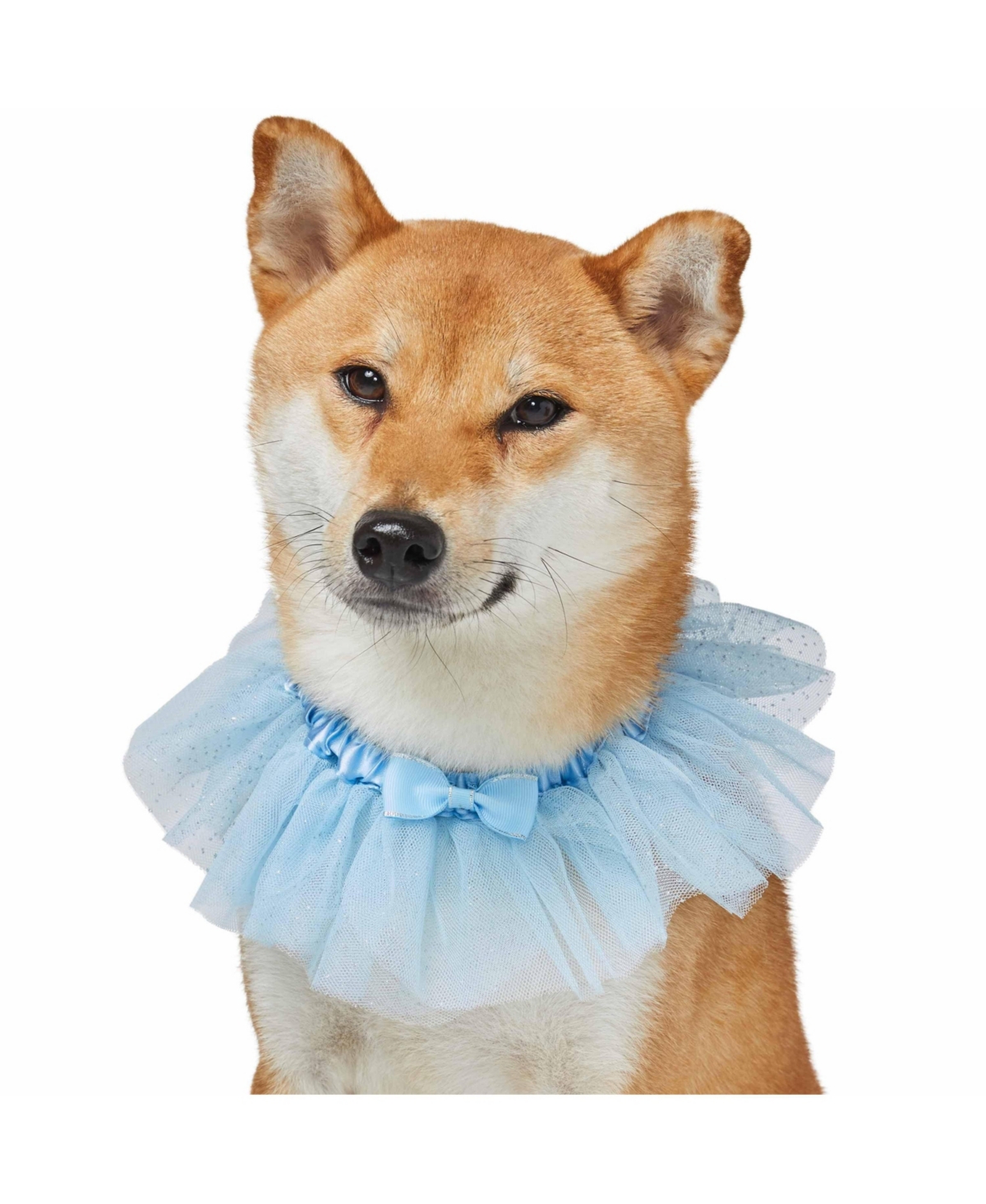 Blueberry Pet My Little Princess Dog Collar with Embroidered Mesh Bowtie