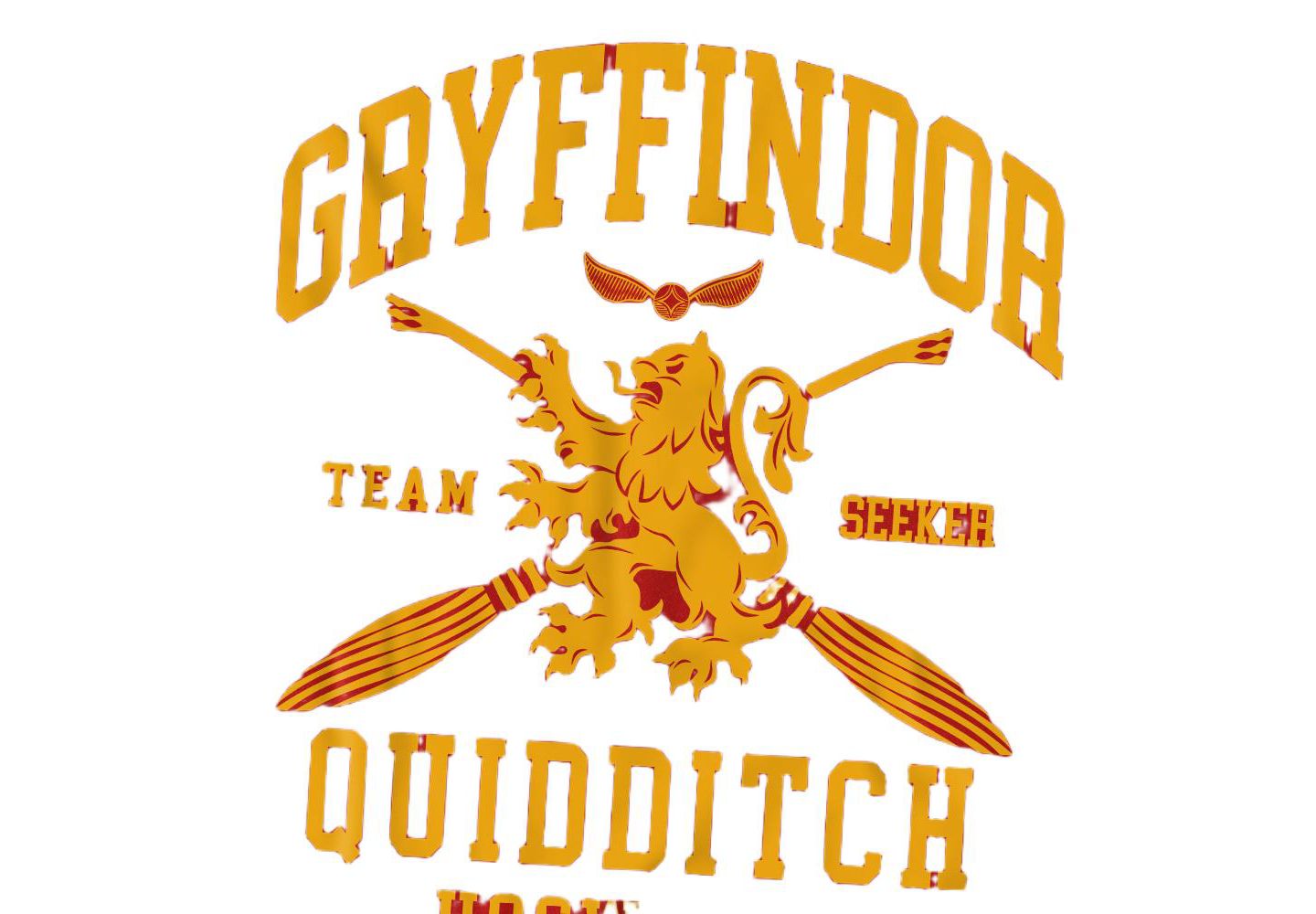 Мужская футболка Harry Potter Gryffindor Quidditch Arch, цвет: Красный — фото 2