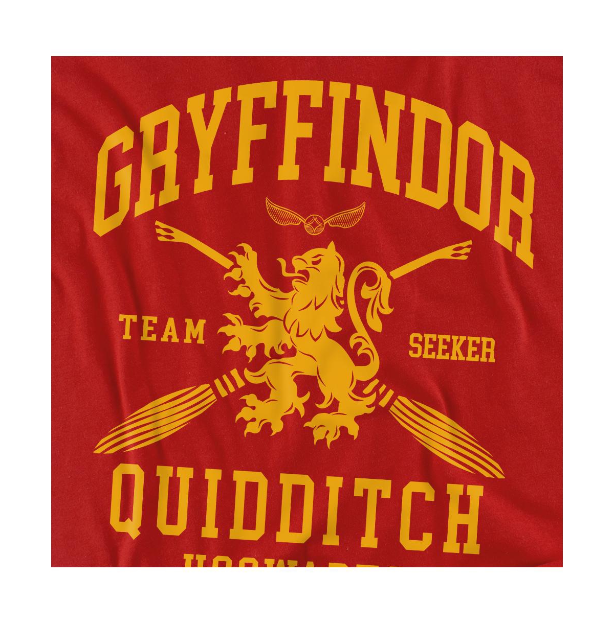 Harry Potter Men's Gryffindor Quidditch Arch T Shirt