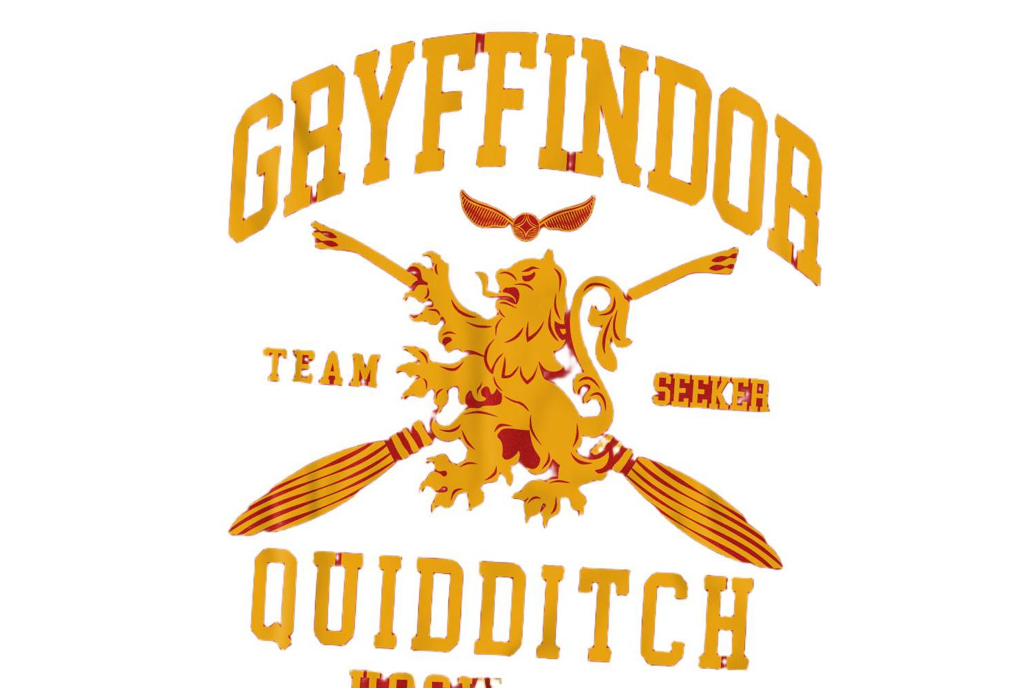 Men's Gryffindor Quidditch Arch T Shirt