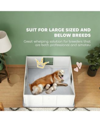 Dog Box with Washable Pad for Dogs in White