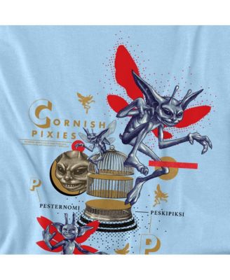 Men's Cornish Pixies Making Mischief T Shirt