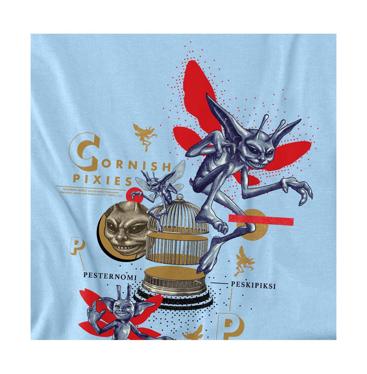 Harry Potter Men's Cornish Pixies Making Mischief T Shirt