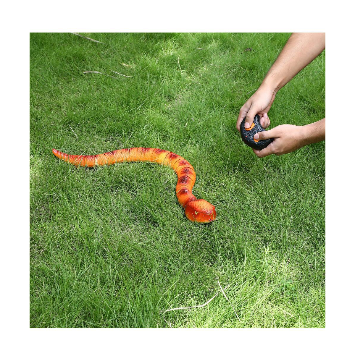 Bruce & Shark 2.4GHz Rc Snake Toy with Realistic S-Slithering | Perfect Prank & Halloween Gift
