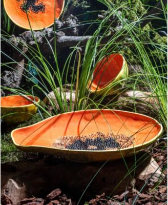 Tropical Fruits Papaya Platter