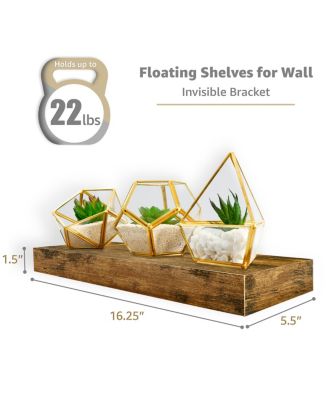 5 Pack 16 Inch Long Floating Wall Shelves for Bedroom, Decor, Kitchen, Living Room - for Trophies, Frames, Bookshelf