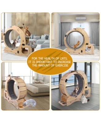 Upgraded Cat Wheel Exerciser with Silent Wheel in Natural Wood