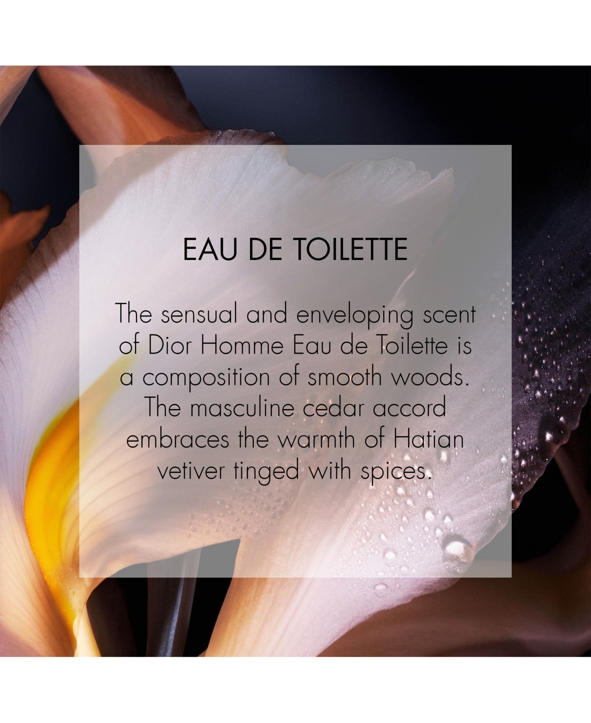 Dior Homme Eau de Toilette Spray