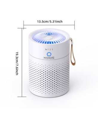 Air Purifiers for Bedroom Home,for Desktop Office Car Pets with USB, Night Light,Remove Smoke, Dust, Odors, Pollen