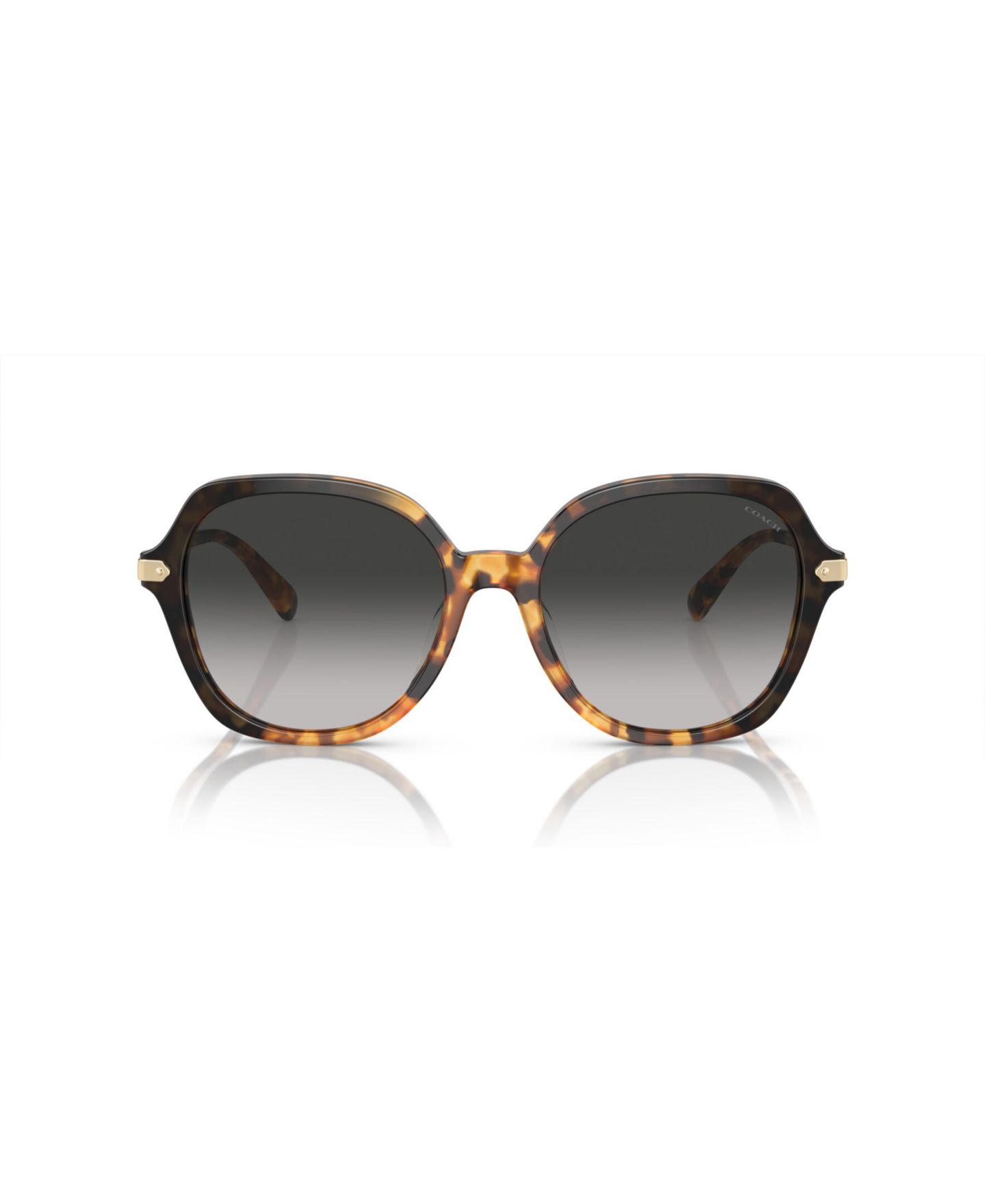 Женские солнцезащитные очки Coach Round Sunglasses, CL925 HC8377U, цвет: Медовый черепаховый чёрный градиентный — фото 2