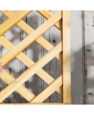 Raised Garden Bed with Trellis and Plant Shelf