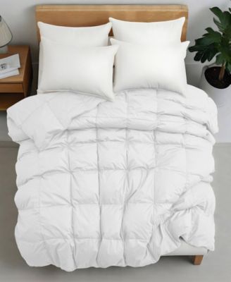 Comfort Goose Down Feather Comforter, Full/Queen