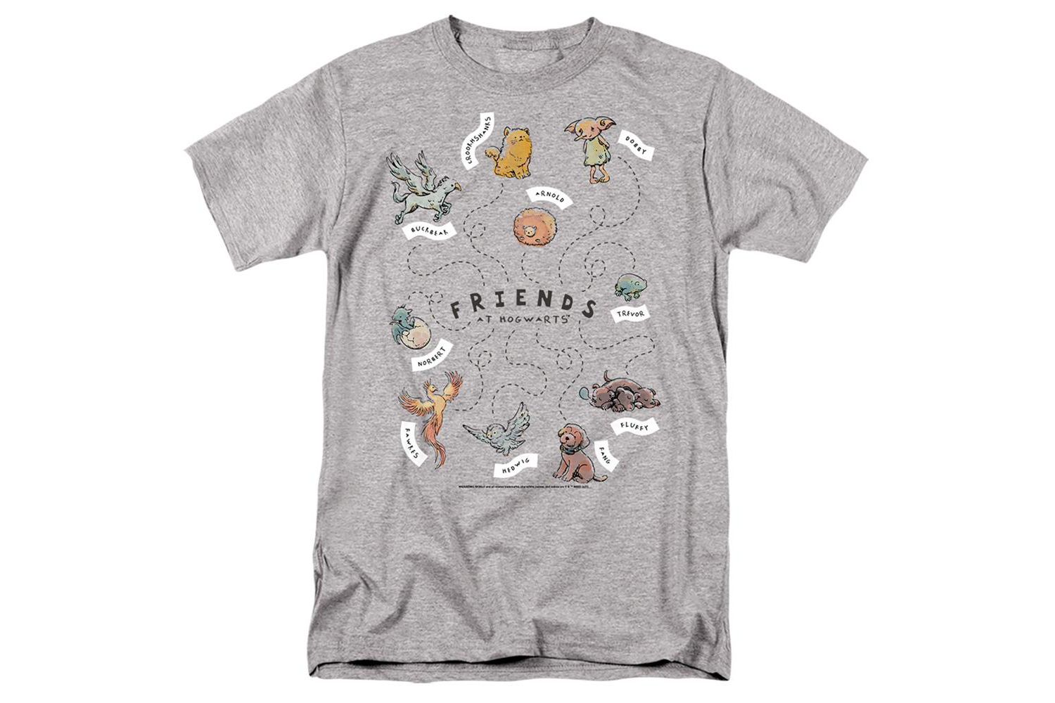 Big & Tall Friends At Hogwarts T Shirt