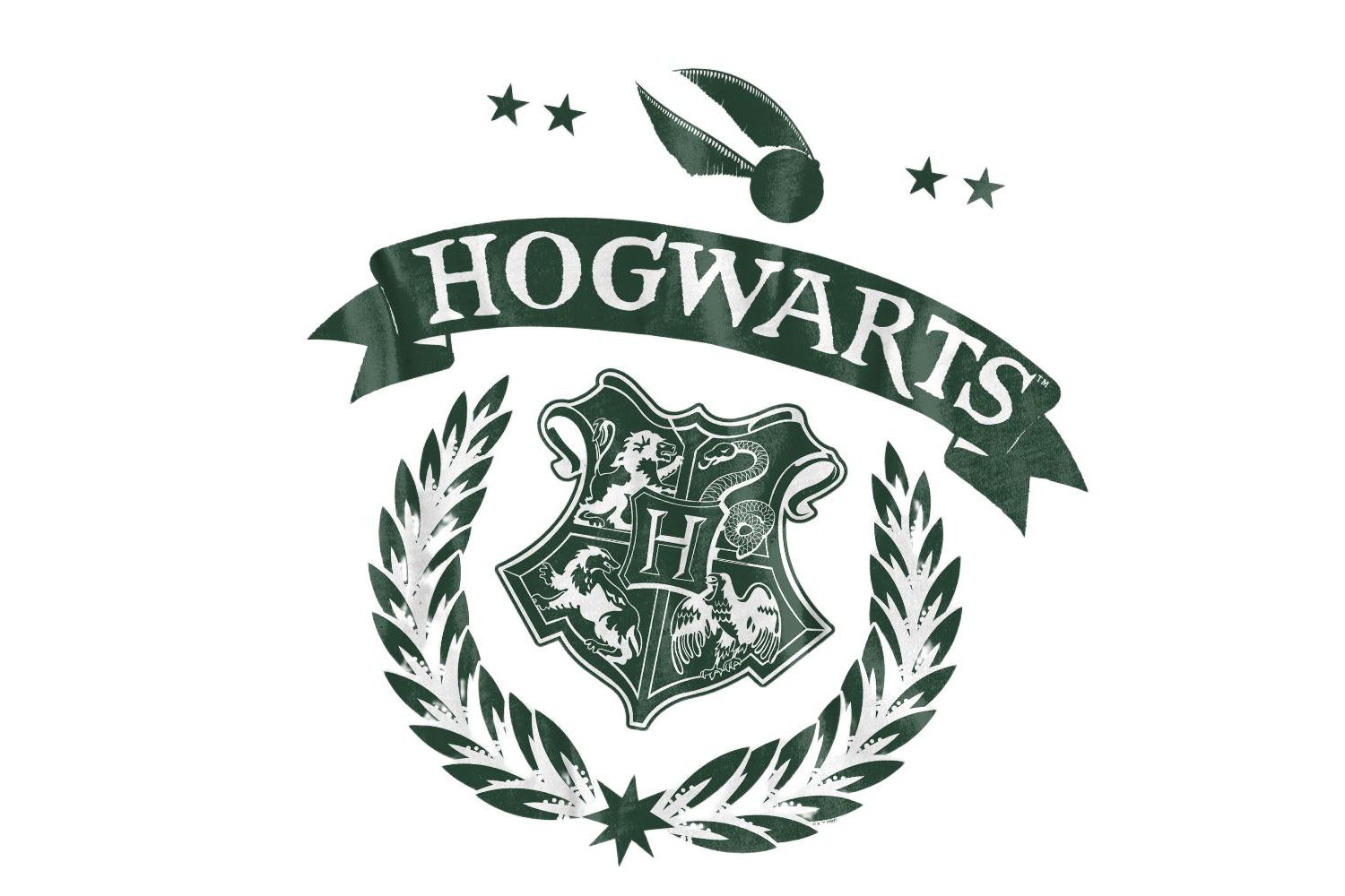 Big & Tall Quidditch School Test T Shirt