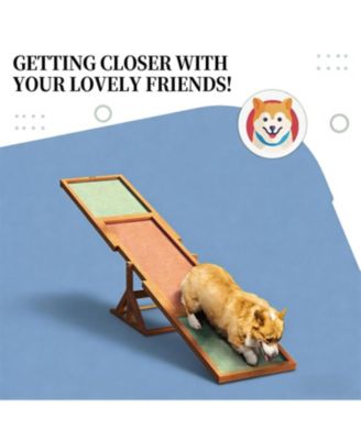 Wooden Dog  Agility Seesaw for Outdoor in Brown