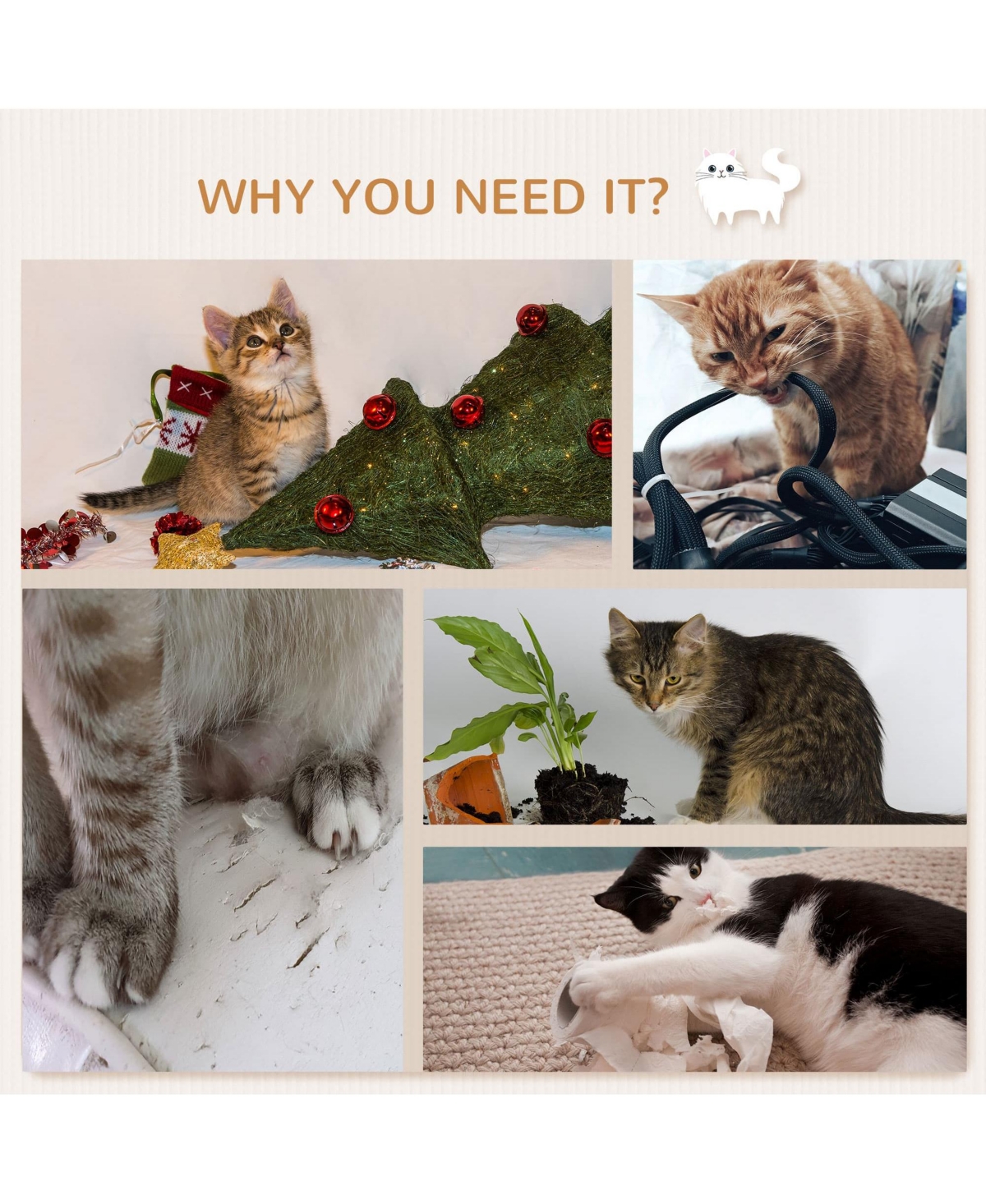 Zeus & Ruta 6-Piece Cream Modern Cat Wall Shelves with Hammock